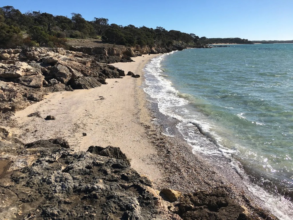 Black Springs Campground