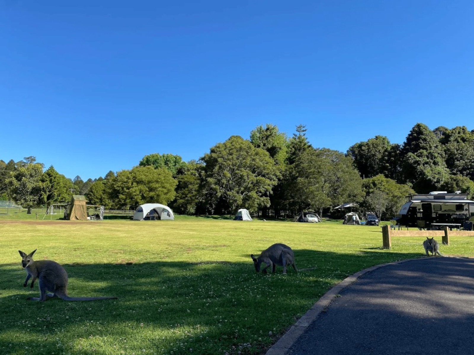 Dandabah camping area, Bunya Mountains National Park