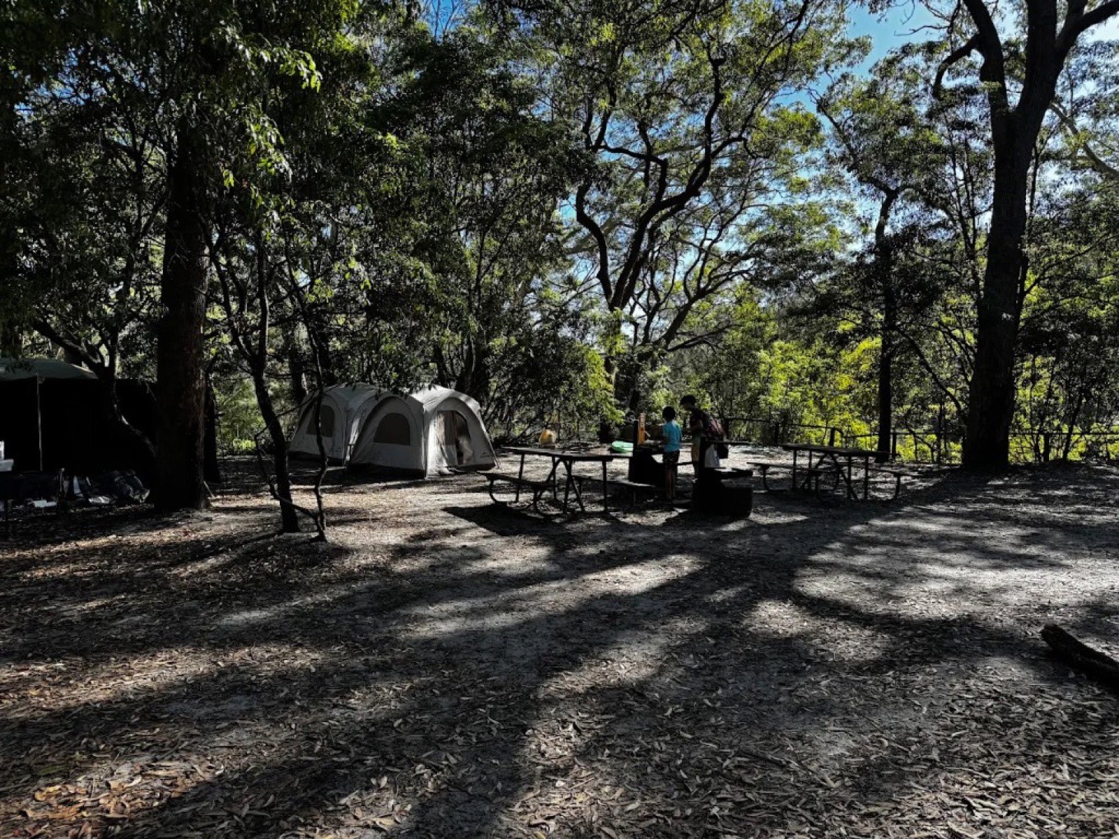Green Patch Campsite