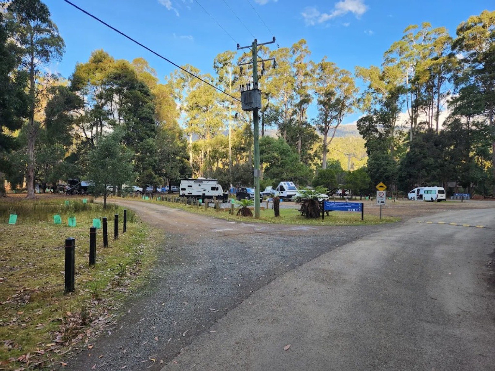 Mount Field Campground