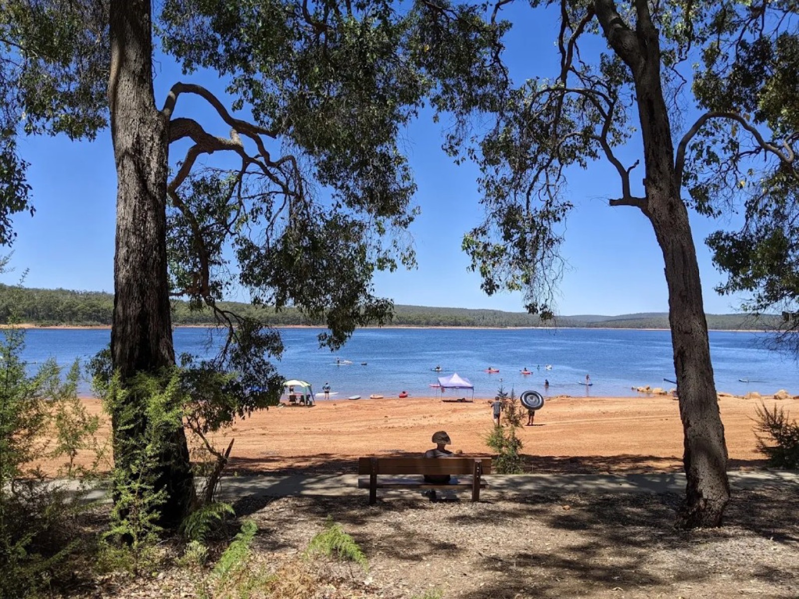 15 WA Campsites for Red Dirt, Coastlines and Proper Getaways