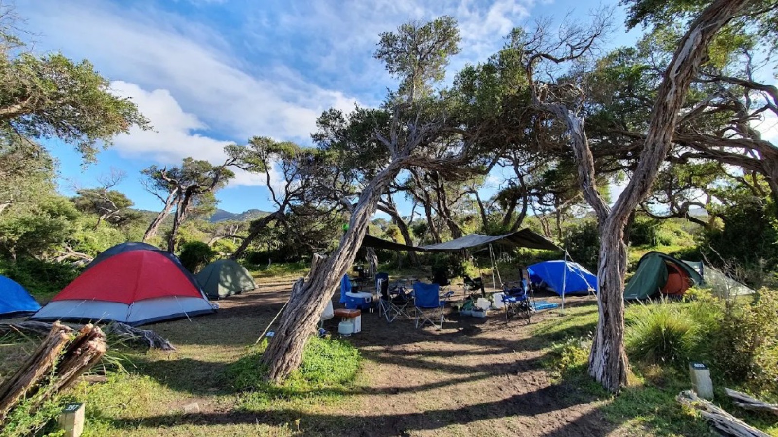 15 Campsites in Victoria Worth Booking