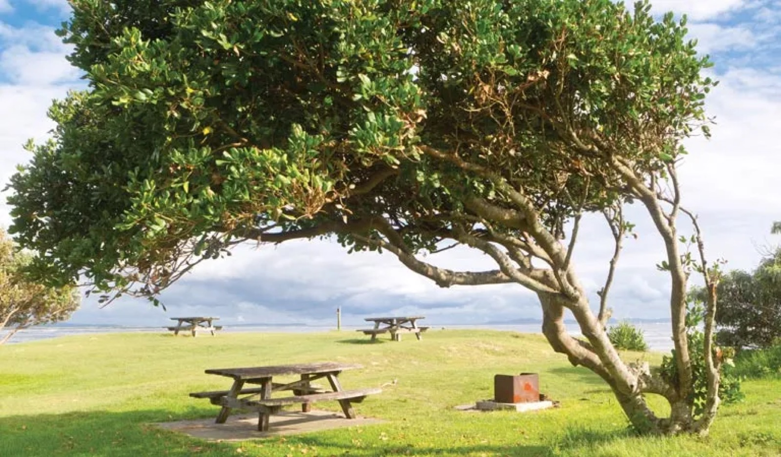 Woody Head Campground
