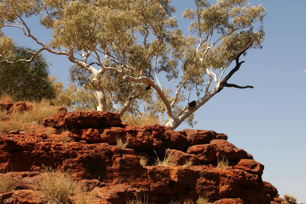 Alice Springs Campervan Hire